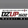 DZUP