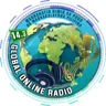 14.3 Global Online Radio